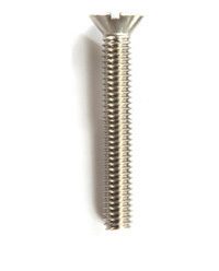 2.5" Stainless Steel Bolt